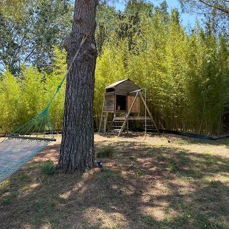 Petit Mas Calme Typique Du Sud ! Villa Valergues Exterior foto